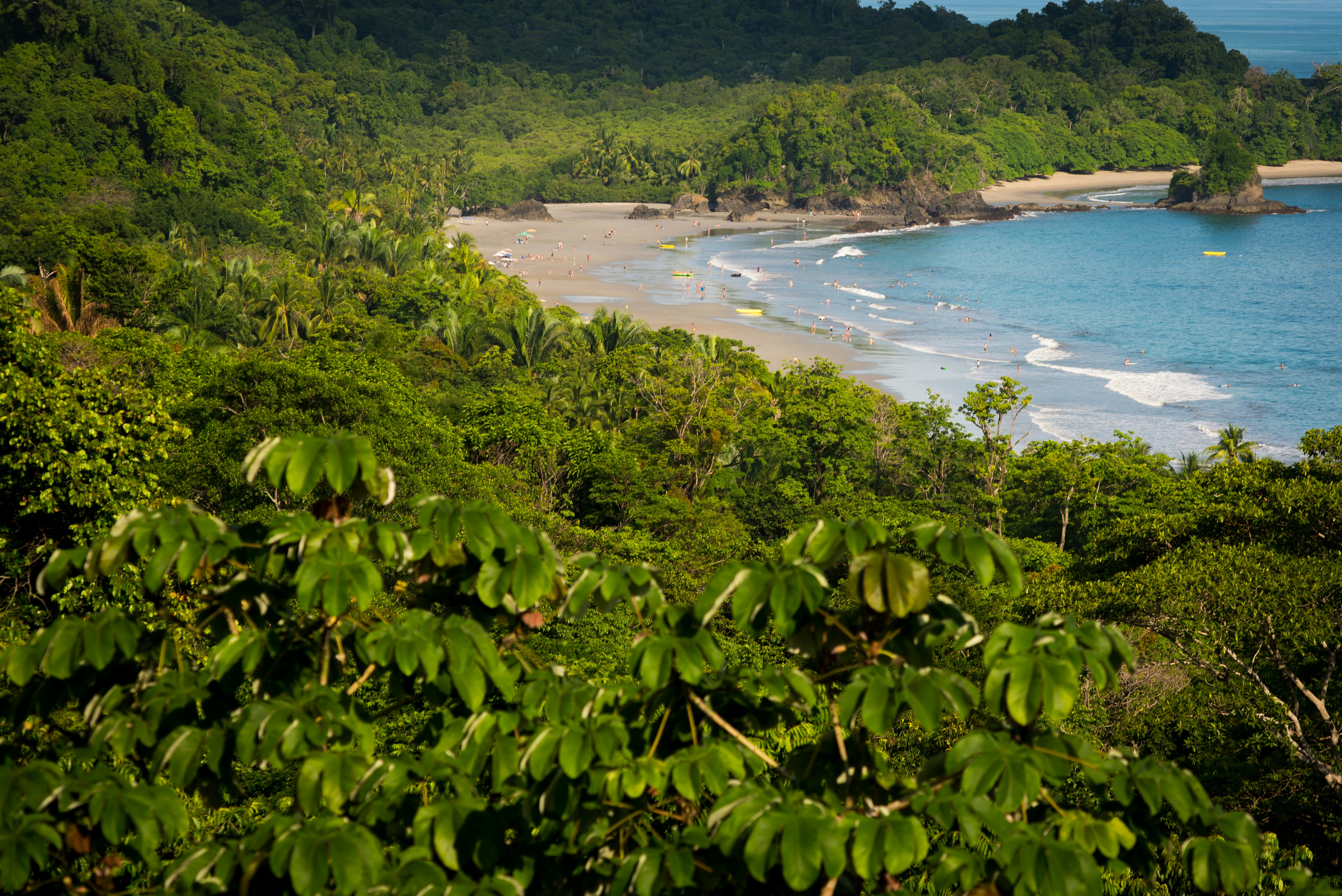 Total Costa Rica activity - Image 2